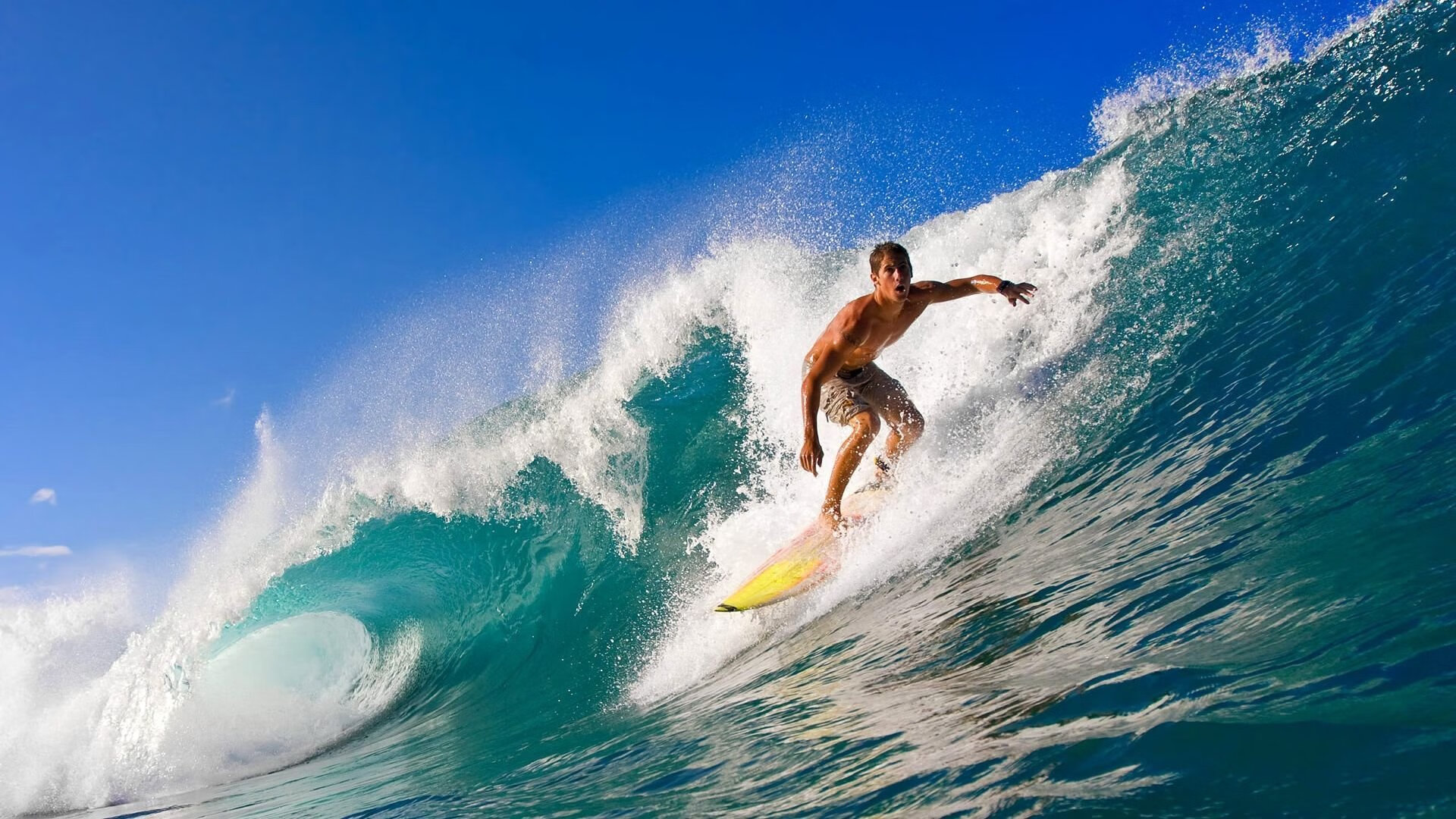 世界自由搏击争霸赛中国勇士登顶