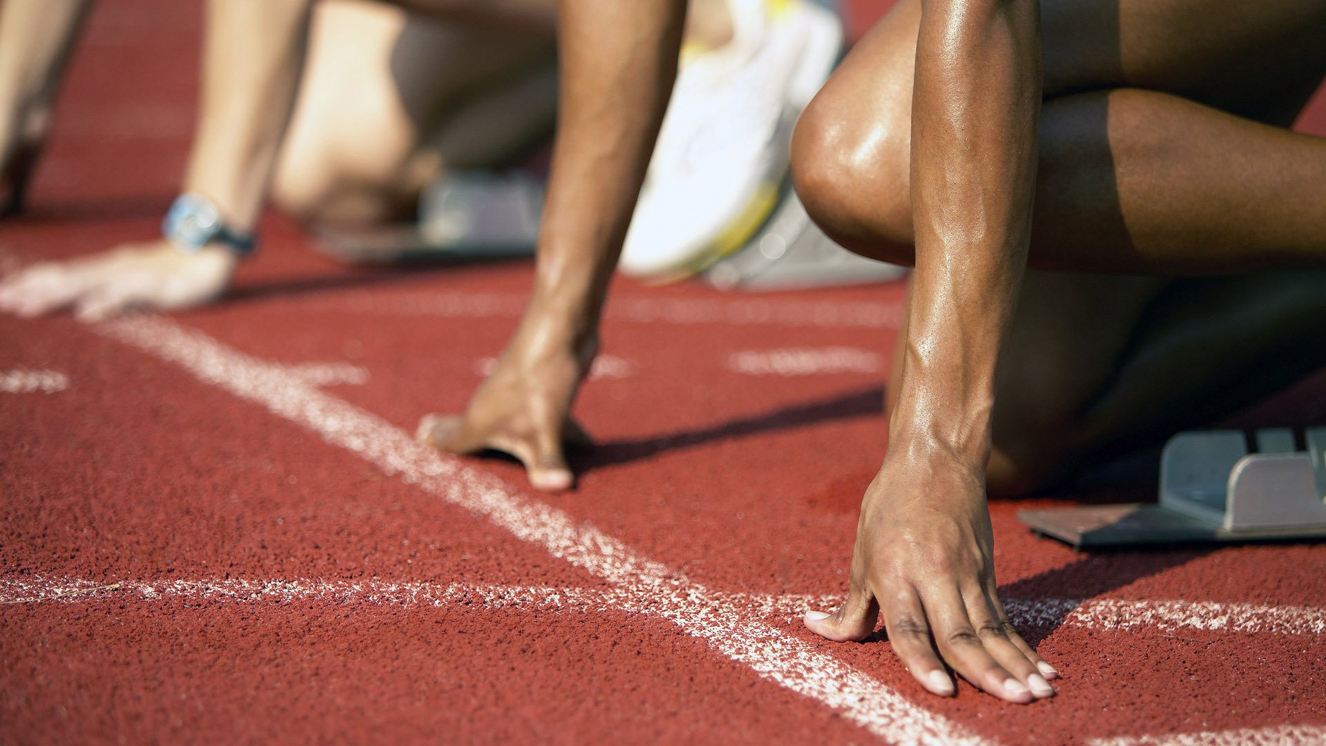 “高手对决：联盟顶级杜鹃王的精彩表现”