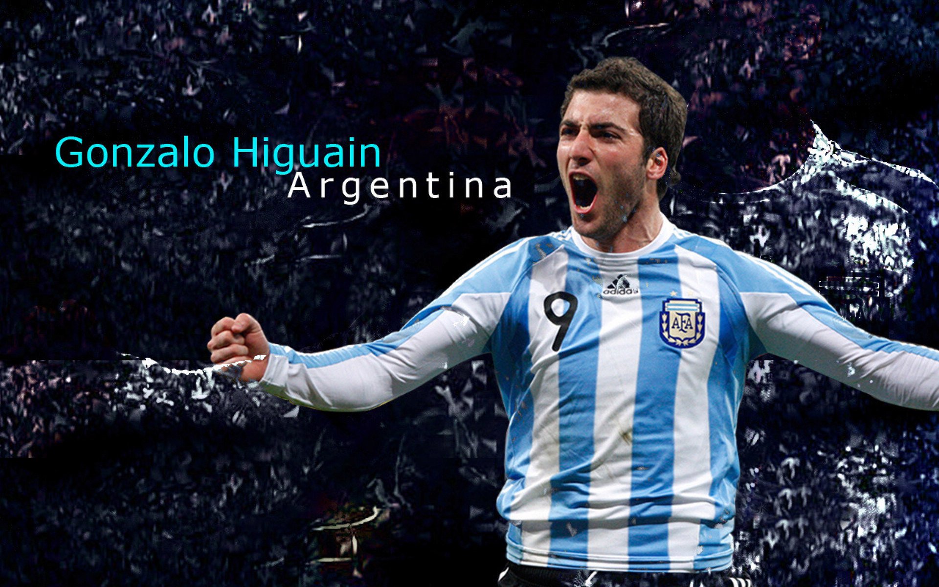 瑞士马术协会推出马术运动员健康管理系统,关注运动员身心健康。